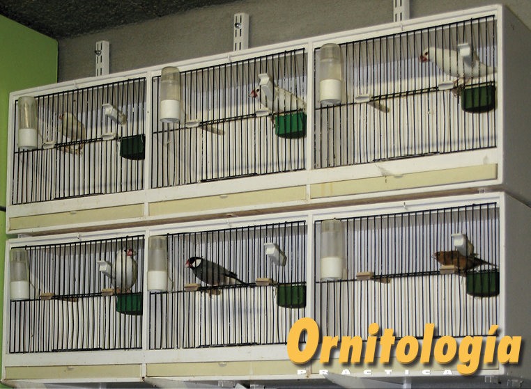 Jaulas de adiestramiento